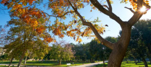 Valencia en otoño, mucho que descubrir